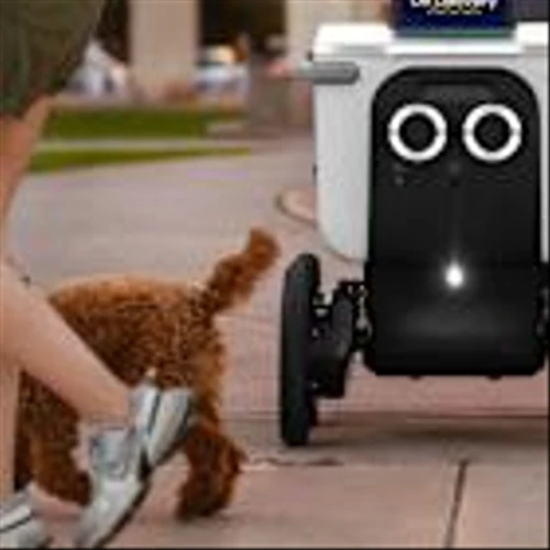 Shares of This Food-Delivery Robot Maker Are Soaring. What DoorDash Has to Do With It.