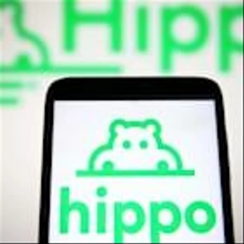 Hippo Insurance pitches big comeback by 2028, CEO explains