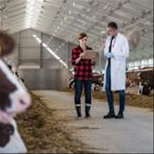 Elanco Enters Agreement With Medgene To Commercialize Highly Pathogenic Avian Influenza Vaccine in Dairy Cattle