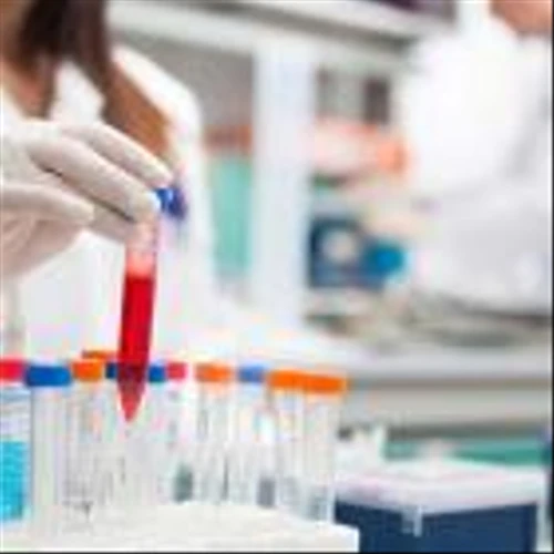 Structure Plummets 43% After Trailing Lilly In Obesity Treatment