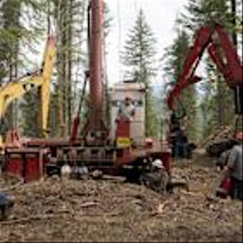 Lumber Prices Rise on Trump’s New Tariff