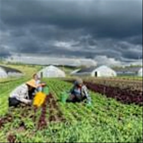 Natural Grocers® to Donate 1% of Sales on World Food Day to Support The Cornucopia Institute