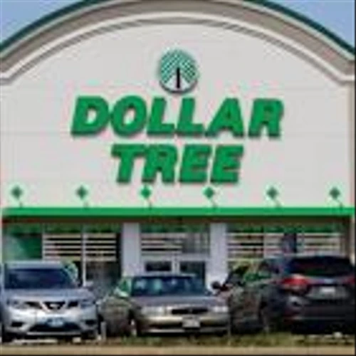 Dollar Tree Raises Outlook But Tariff Pressures Spark Investor Selloff