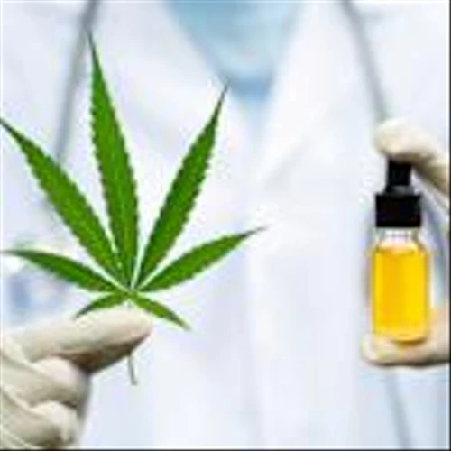 From Loss to Lift-Off: Marijuana ETFs Rebound on Legalization Prospects