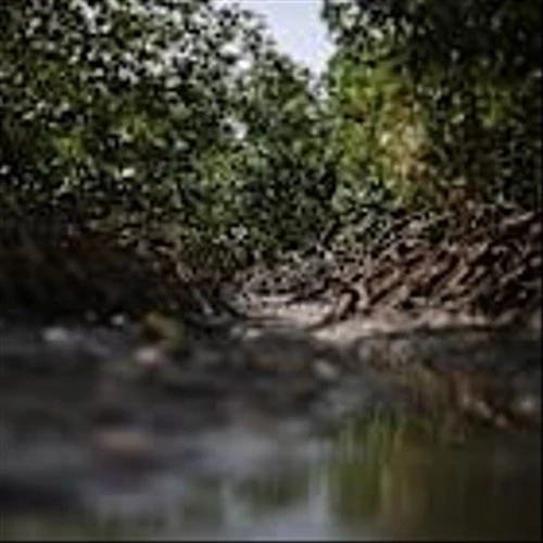 Exclusive-Brazil in talks with TPG, Brookfield over $4 billion climate finance push