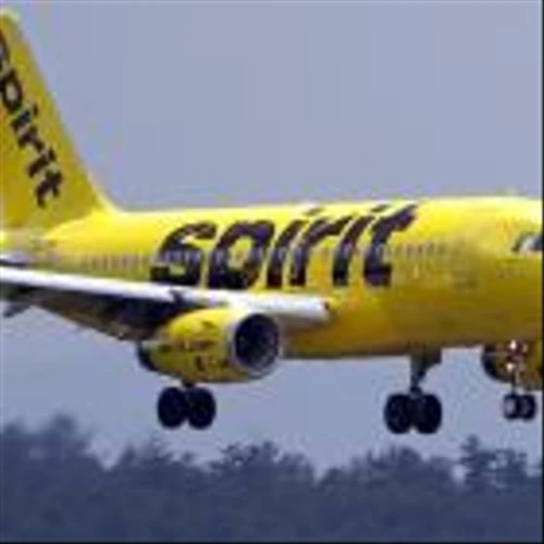 Birkenstock, Meta AI, Spirit Airlines: Trending Tickers