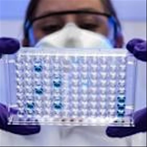 Is Taysha Gene Therapies Inc. (TSHA) One of the Must-Buy Penny Stocks to Buy Now?