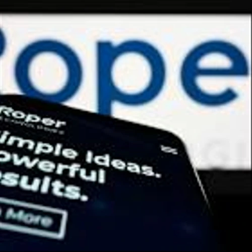 How Is Roper Technologies' Stock Performance Compared to Other Software & Services Stocks?