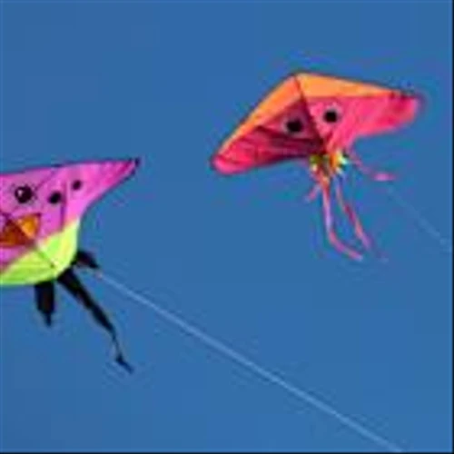Kite Raises $18M to Bridge Stablecoin Payments and Autonomous Agents