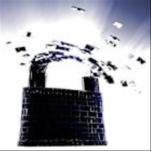 Fortinet's Geographic Mix Improves: Can EMEA Drive More Upside?