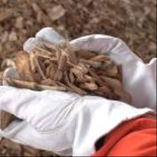 Origin Materials Converts Wood Residue Feedstock into Sustainable Intermediates at Commercial-Scale Plant