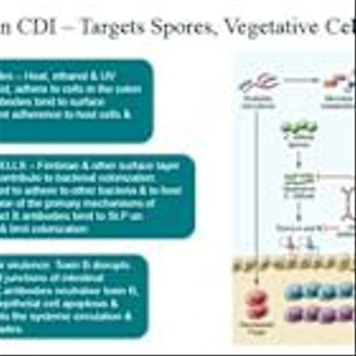 Immuron IMM-529 IND approved by FDA