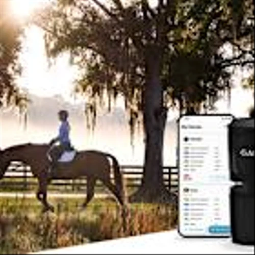 Garmin unveils the Blaze equine wellness system