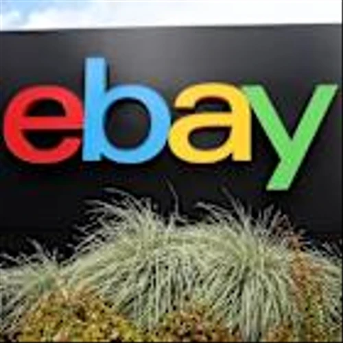 EBay rolls out conversational AI shopping agent