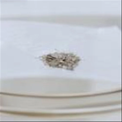 USA Rare Earth Commissions Advanced Innovations Lab in Stillwater, Oklahoma