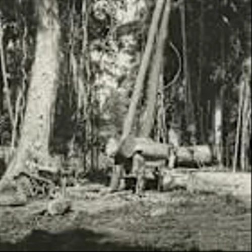 Trump Wants Venezuela’s Oil. History Says Tread Carefully.