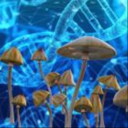 EXCLUSIVE: Psychedelic-Focused Firm Clearmind Medicine Submits Three New International Patent Applications For MDMA, Ibogaine And Ketamine Compounds