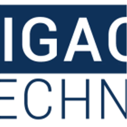 GigaCloud Technology Inc Announces Fourth Quarter and Year Ended December 31, 2024 Financial Results