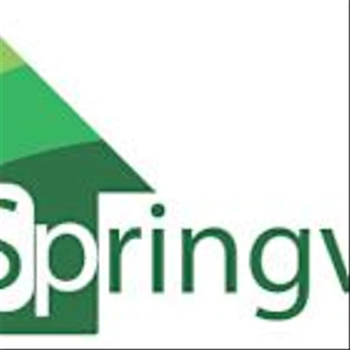 Springview Holdings Ltd Initiates Appeal Following Nasdaq Delisting Notice