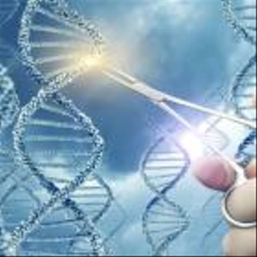 3 Stocks to Buy in the Booming Field of Gene Editing