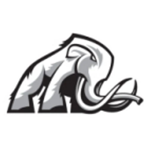 Mammoth Energy Services Inc (TUSK) Q3 2024 Earnings Report Preview: What To Look For