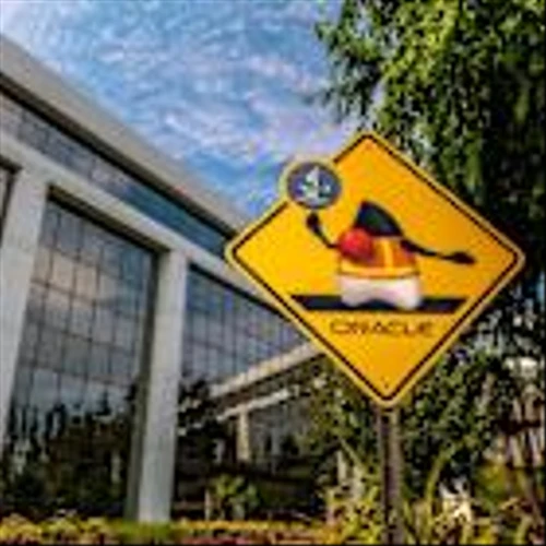 Oracle’s Role as Protector of TikTok Data Panned as Rehash of Earlier Plan