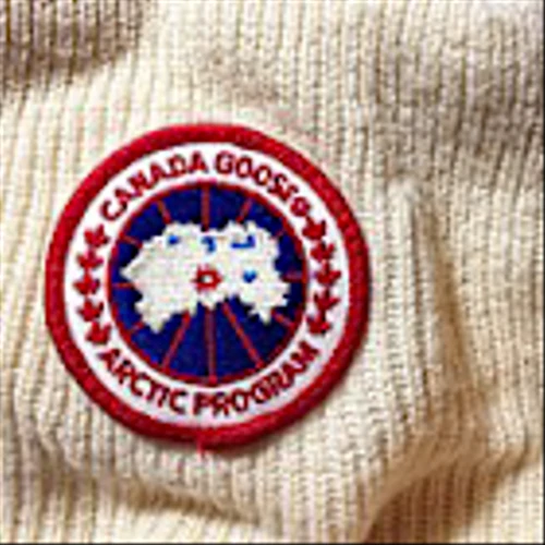Earnings To Watch: Canada Goose Holdings Inc (TSX:GOOS) Reports Q4 2025 Result