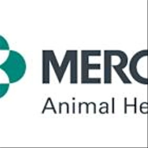 FDA Approves BRAVECTO® QUANTUM (fluralaner for extended-release injectable suspension) from Merck Animal Health to Treat and Control Asian Longhorned Tick and Gulf Coast Tick for 12 Months in Dogs