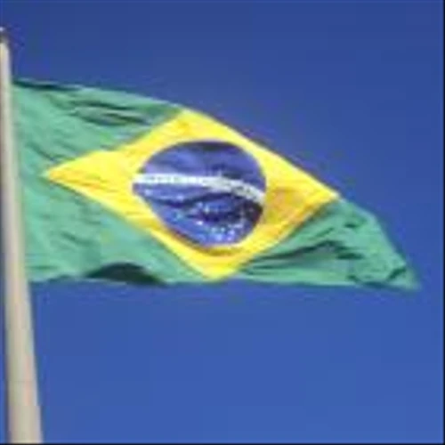 20 Most Valuable Brazilian Companies Heading into 2024