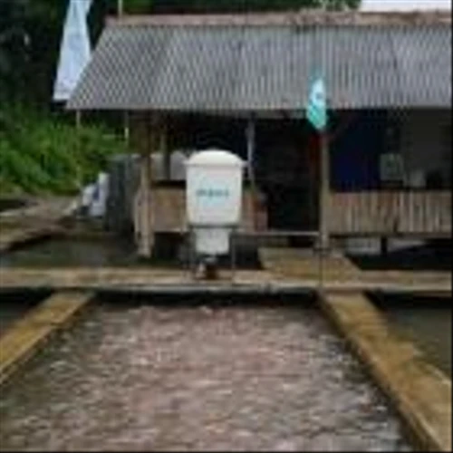 SoftBank, Temasek Among eFishery Investors Facing Near Wipeout