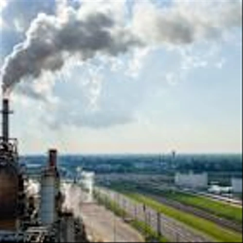 Oil prices fall: This portfolio manager's top sector picks