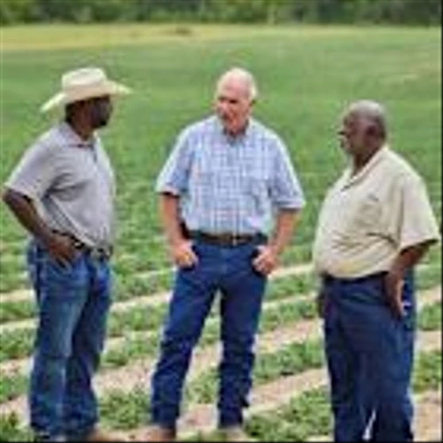 Kellanova and ADM Regenerative Agriculture Program Improves Soil Health on 120,000 Acres, Supports Farmers in Southeast United States