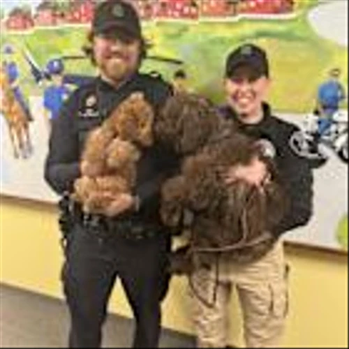 Comfort Dogs Join Detroit Police Department's Crisis Intervention Team