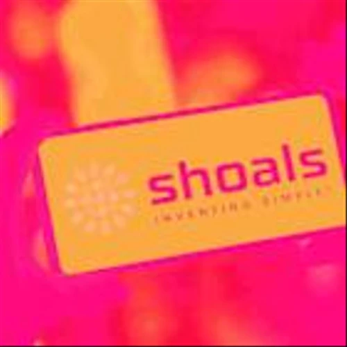 Shoals (SHLS) Shares Skyrocket, What You Need To Know