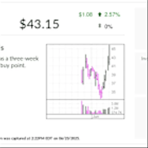 Stock Of The Day Trips Buy Point As IPO's Growth Booms
