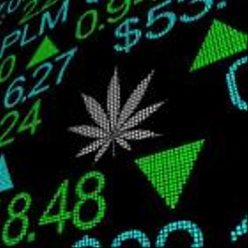 IIPR's Q4 Earnings Coming Up: Key Factors to Impact the Stock
