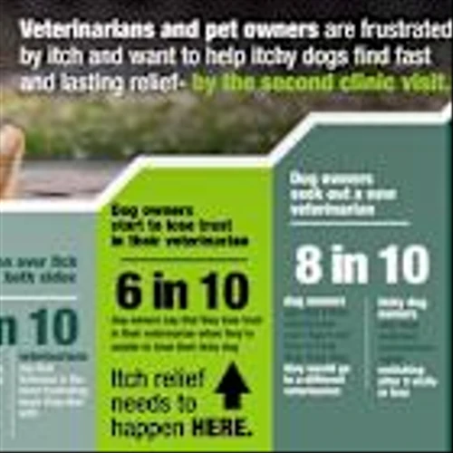 Elanco Releases New Report Highlighting the Significance of America's Itchy Dogs and the Need for Itch Relief