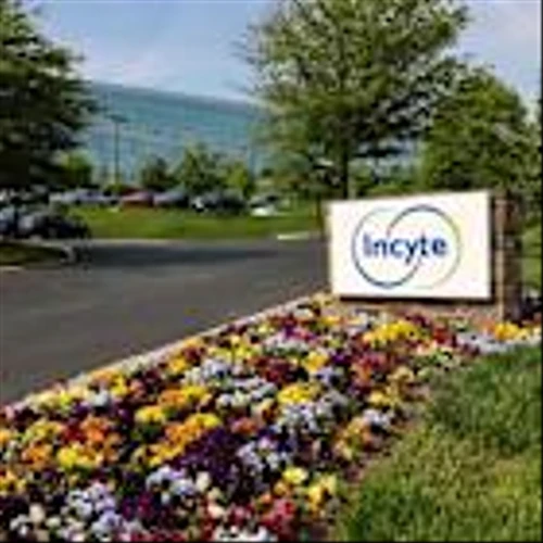 How Is Incyte’s Stock Performance Compared to Other Biotech Stocks?