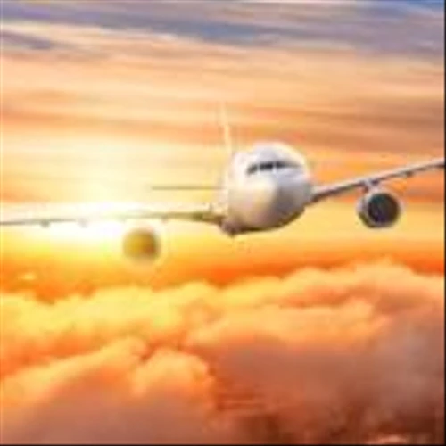 Airline cancels flight after losing license, refunds available