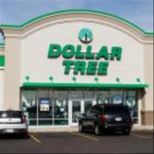 Dollar Tree's Store-Related & Other Efforts Encouraging: Apt to Hold