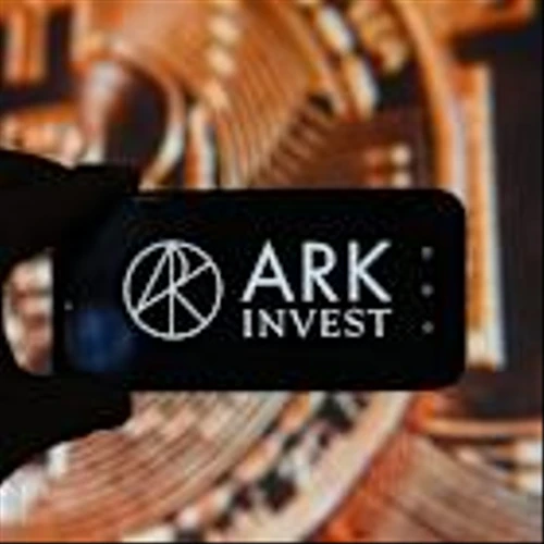 What’s Up with the Crazy Flow Volatility at ARK’s ETFs?