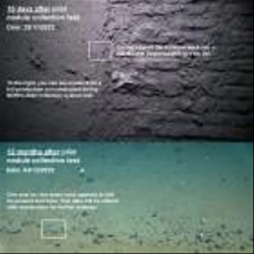 TMC Subsidiary NORI Shares Preliminary Findings on Environmental Impacts of Pilot Nodule Collection System Test