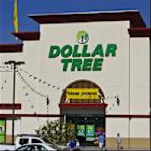 Dollar Tree Raises Fiscal 2025 Outlook; Issues Weak Third-Quarter Earnings Guidance