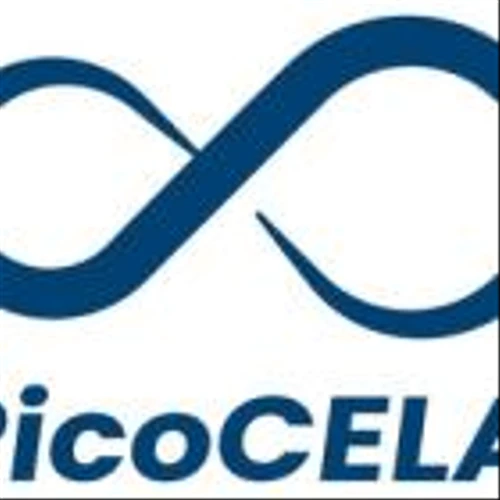PicoCELA Inc. Announces Closing of Initial Public Offering
