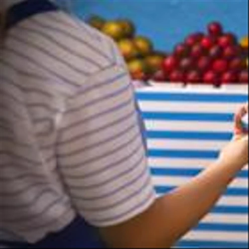 The Ultimate Growth Stock to Buy With $2,000 Right Now