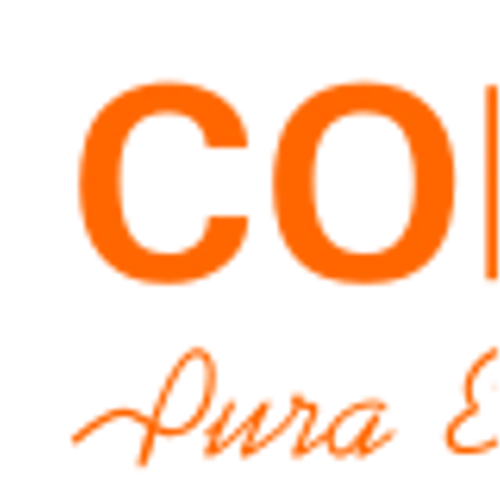 Cia Paranaense De Energia Copel (ELP) Q3 2024 Earnings Call Highlights: Strong Net Income ...
