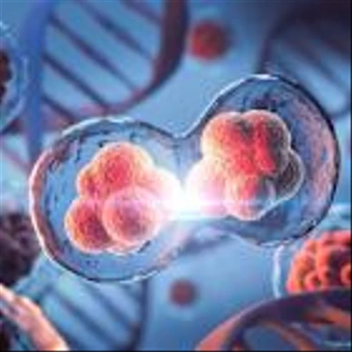 Takeda walks away from cell therapy in priority U-turn
