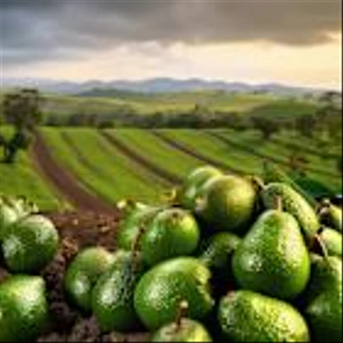 Is Calavo Growers (CVGW): Among the Best Food Stocks to Buy Under $30
