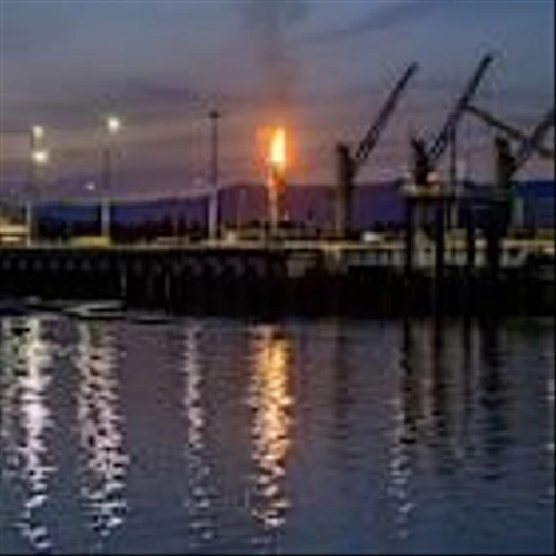 U.S. LNG Building Boom Could Play Out Poorly, Shell CEO Says