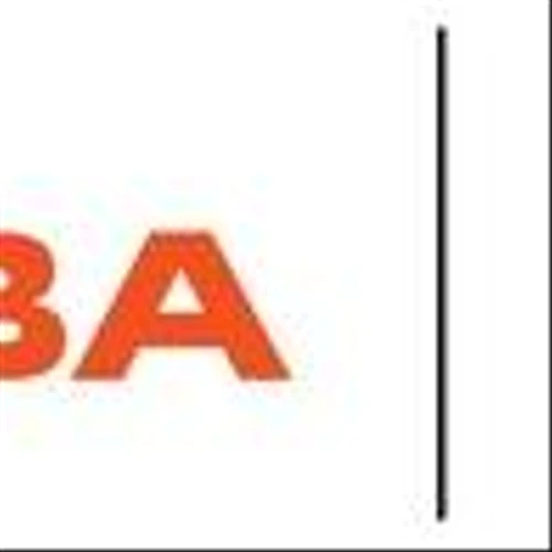 BIG-TIME BUCKET: WNBA SCORES ALLY FINANCIAL AS OFFICIAL BANKING PARTNER AND NEWEST CHANGEMAKER
